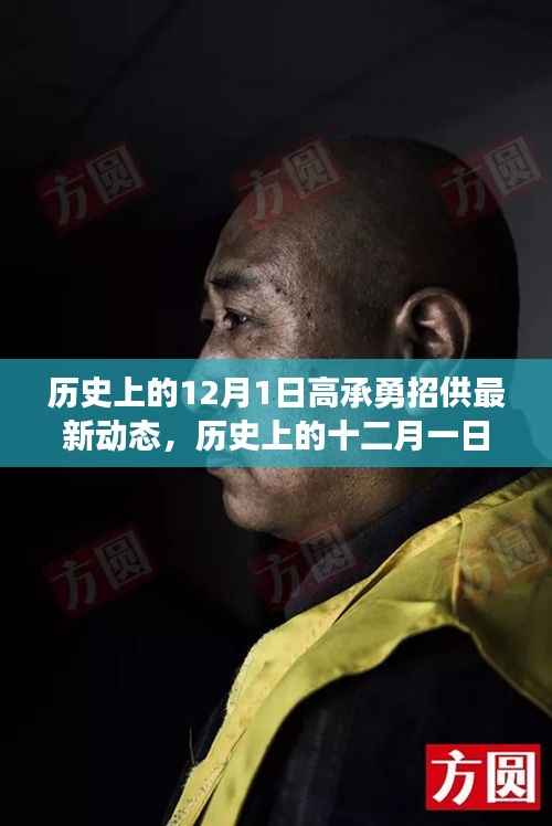 高承勇招供最新动态，十二月一日的进展与深度分析