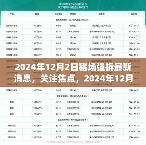 2024年12月2日猪场强拆最新动态及关注焦点
