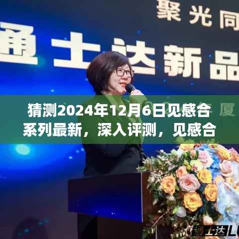 2024年12月6日见感合系列新品深度评测与展望
