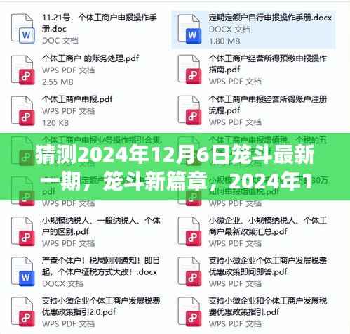 笼斗新篇章，2024年12月6日的奇遇与温情纽带