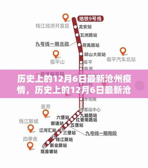历史上的12月6日沧州疫情深度解析与最新状况介绍