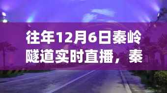 秦岭隧道探秘之旅,与自然美景的邂逅,寻找内心的宁静直播日纪实