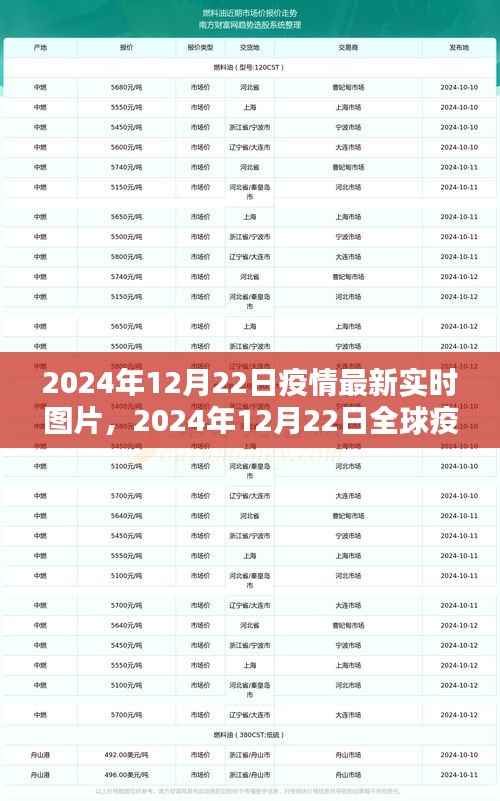 全球疫情最新实时图片报道，2024年12月22日疫情动态分析