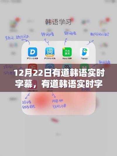 有道韩语实时字幕新功能解析,优劣分析与应用影响