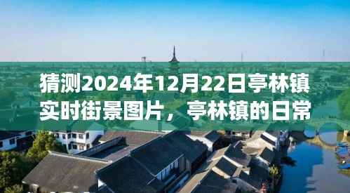 亭林镇未来街景猜想,2024年温馨日常奇遇纪实图片之旅