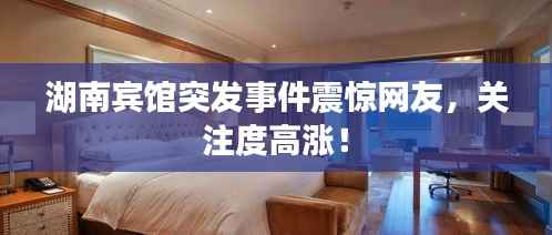 湖南宾馆突发事件震惊网友，关注度高涨！