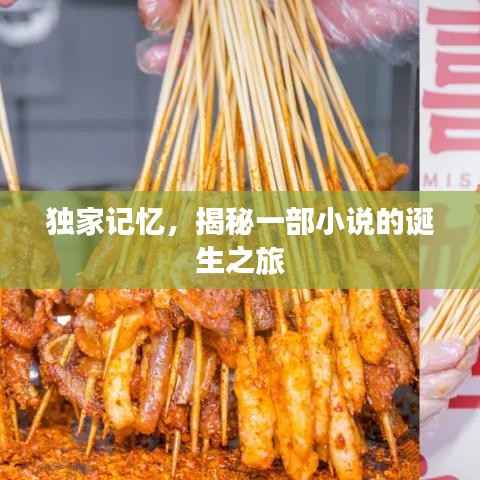 独家记忆，揭秘一部小说的诞生之旅