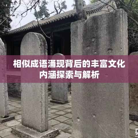 相似成语涌现背后的丰富文化内涵探索与解析