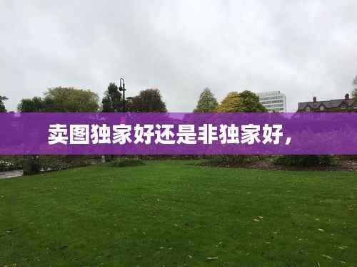 卖图独家好还是非独家好,