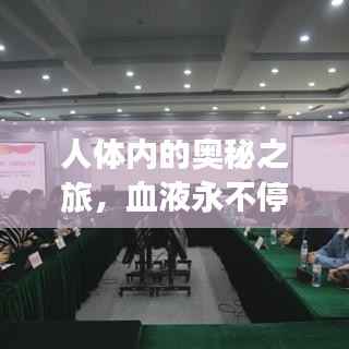 pangaojiegui 第11页