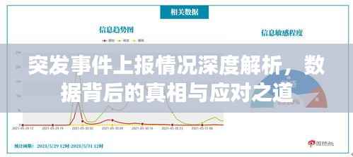 突发事件上报情况深度解析,数据背后的真相与应对之道