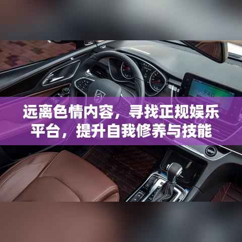 远离色情内容，寻找正规娱乐平台，提升自我修养与技能