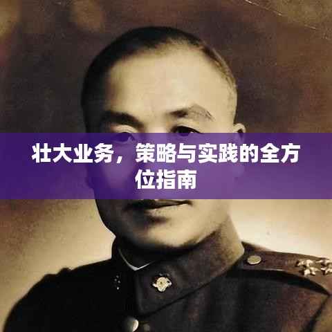 壮大业务,策略与实践的全方位指南