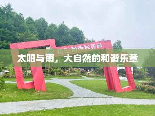 太阳与雨,大自然的和谐乐章