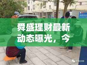 舜盛理财最新动态曝光，今日消息及违法犯罪问题深度探讨