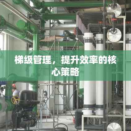 chenmuzhangdan 第8页