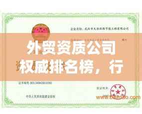外贸资质公司权威排名榜，行业巨头实力与影响力的揭秘