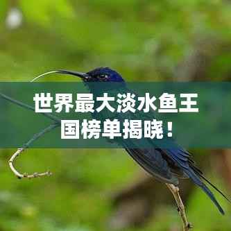 世界最大淡水鱼王国榜单揭晓!