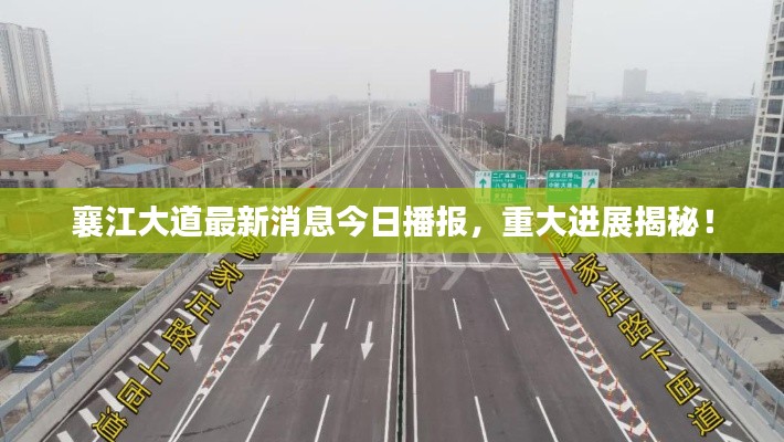 襄江大道最新消息今日播报,重大进展揭秘!
