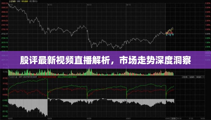 股评最新视频直播解析，市场走势深度洞察