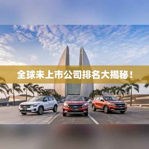 全球未上市公司排名大揭秘!