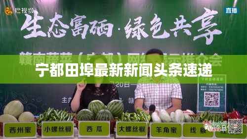 宁都田埠最新新闻头条速递