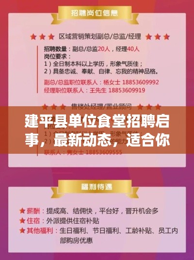 建平县单位食堂招聘启事,最新动态,适合你的工作岗位大揭秘
