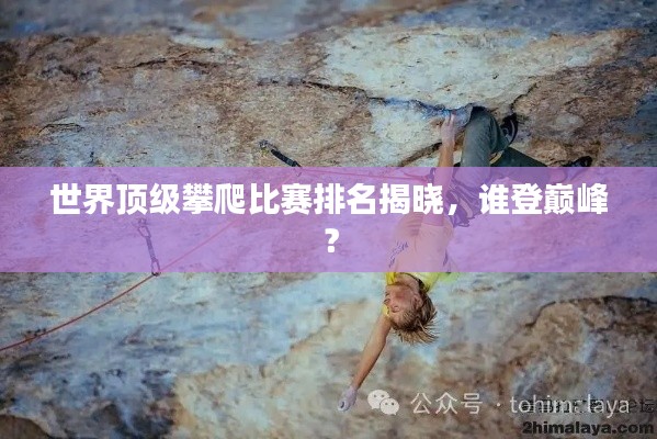 世界顶级攀爬比赛排名揭晓,谁登巅峰?