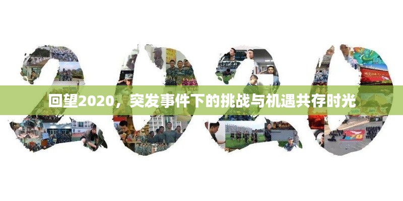 回望2020，突发事件下的挑战与机遇共存时光