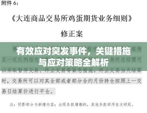 有效应对突发事件，关键措施与应对策略全解析
