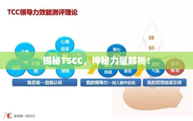 揭秘TSCC，神秘力量解析！
