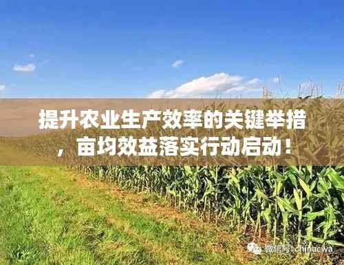 提升农业生产效率的关键举措，亩均效益落实行动启动！