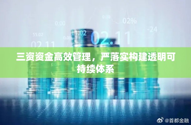 三资资金高效管理,严落实构建透明可持续体系