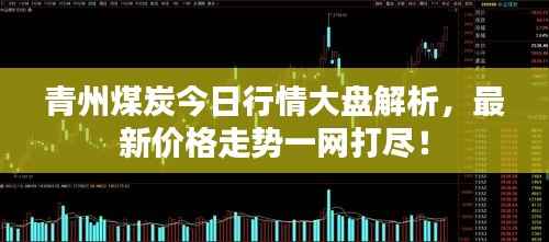 青州煤炭今日行情大盘解析,最新价格走势一网打尽!